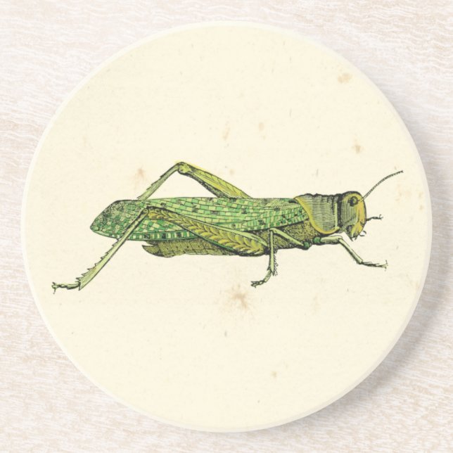 Bordered Print of Green Grasshopper Coaster (Front)