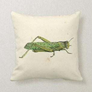 Bordered Print of Green Grasshopper Cushion