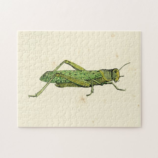 Bordered Print of Green Grasshopper Jigsaw Puzzle (Horizontal)