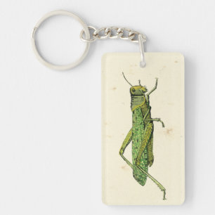 Bordered Print of Green Grasshopper Key Ring