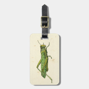 Bordered Print of Green Grasshopper Luggage Tag