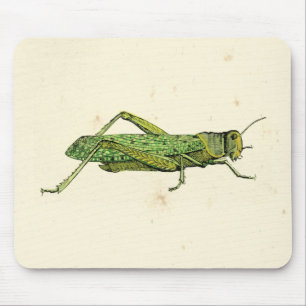 Bordered Print of Green Grasshopper Mouse Mat