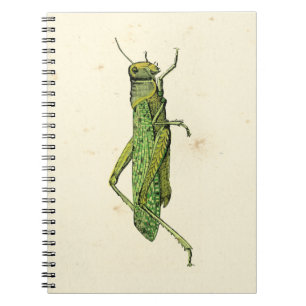 Bordered Print of Green Grasshopper Notebook
