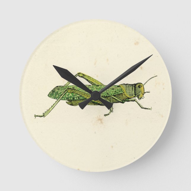 Bordered Print of Green Grasshopper Round Clock (Front)