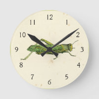 Bordered Print of Green Grasshopper