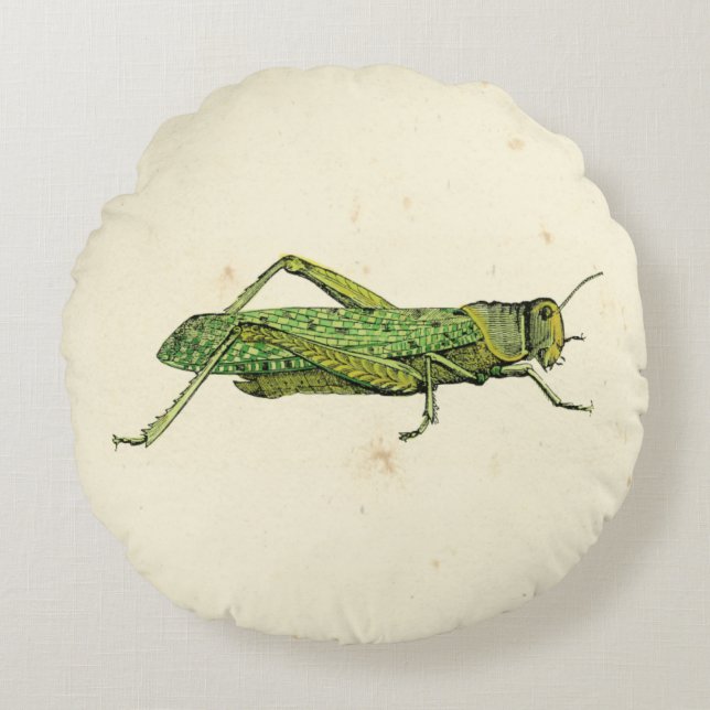 Bordered Print of Green Grasshopper Round Cushion (Front)