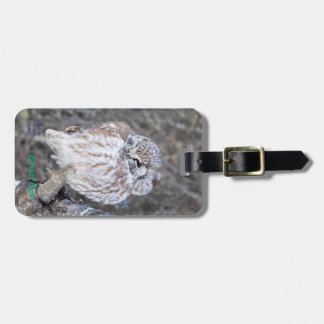Boreal Owl Luggage Tag