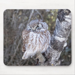 Boreal Owl Mouse Pad
