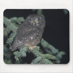 Boreal Owl on Branch Mouse Mat