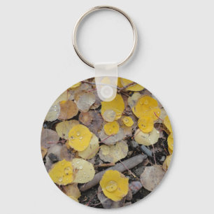 boreas pass aspens key ring