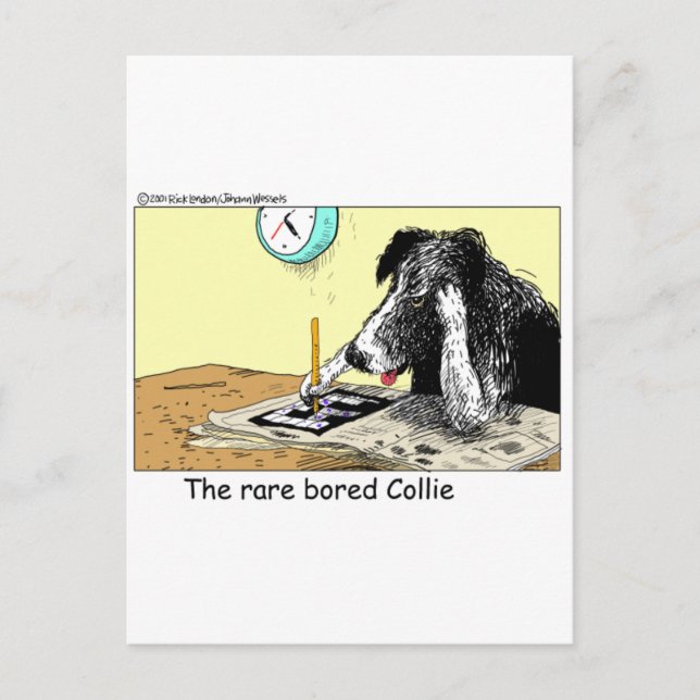 Bored Border Collie Funny Gifts Tees Collectibles Postcard (Front)