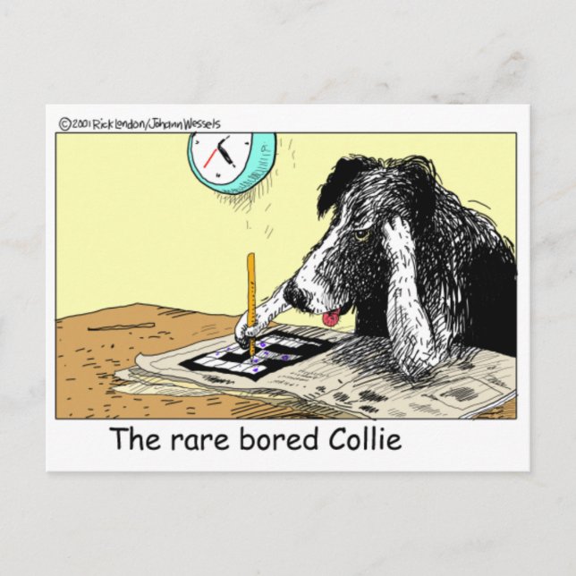 Bored Border Collie Funny Gifts Tees Collectibles Postcard (Front)