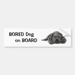 BORED DOG ON BOARD: Pencil Art Bumper Sticker