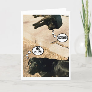 Bored doggies - We Miss You Card