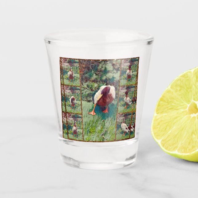 Bored Duck Photo Collage, Shot Glass (Front)