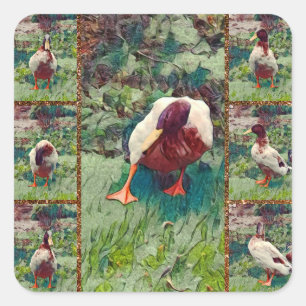 Bored Duck Photo Collage, Square Stickers