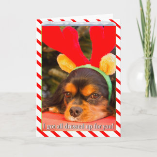 Bored King Charles Spaniel Raindeer Christmas Card
