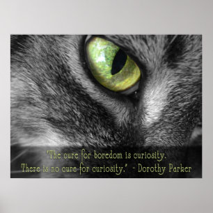 Boredom - Curiosity, Dorothy Parker quote poster