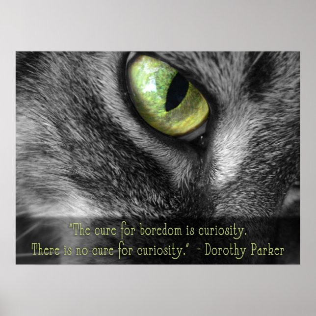 Boredom - Curiosity, Dorothy Parker quote poster (Front)