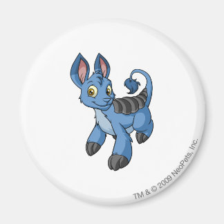 Bori Blue Magnet
