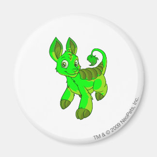 Bori Glowing Magnet