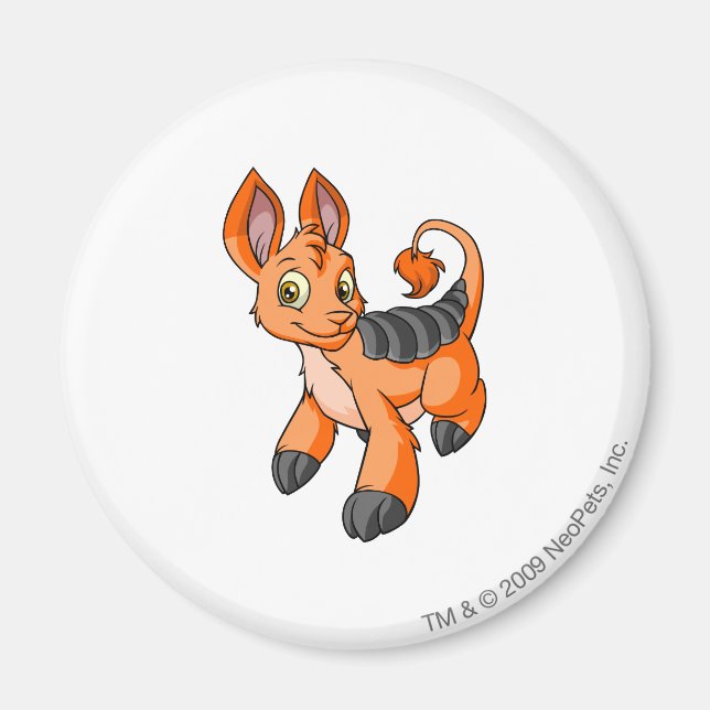Bori Orange Magnet (Front)