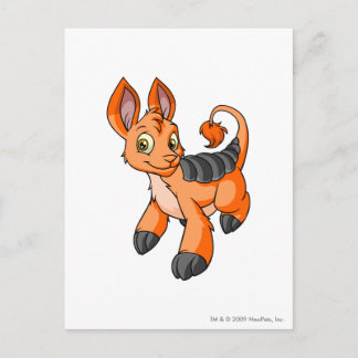 Bori Orange Postcard