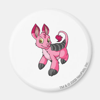 Bori Pink Magnet