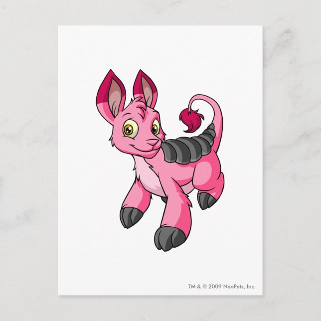 Bori Pink Postcard (Front)