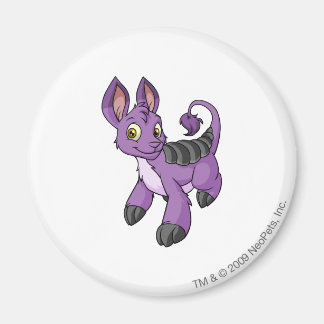 Bori Purple Magnet