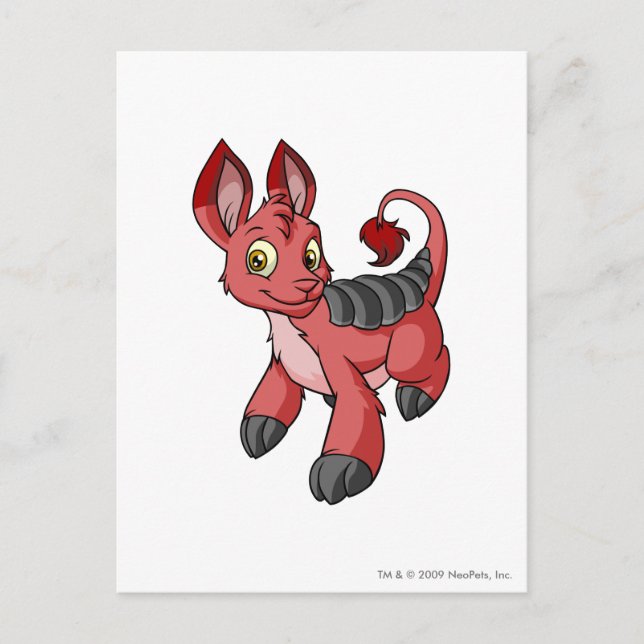 Bori Red Postcard (Front)