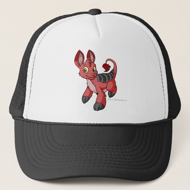 Bori Red Trucker Hat (Front)