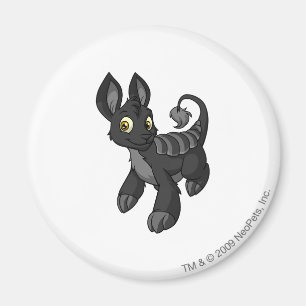 Bori Shadow Magnet