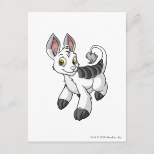 Bori White Postcard