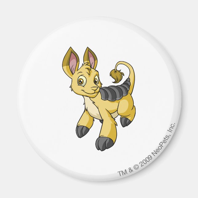 Bori Yellow Magnet (Front)
