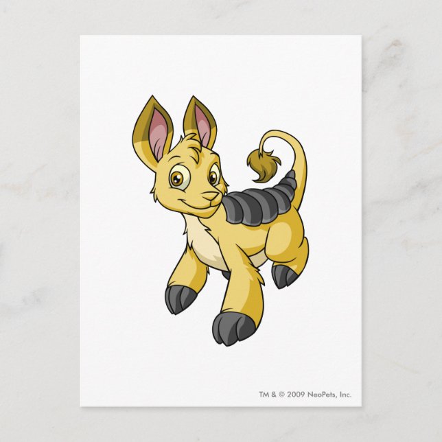 Bori Yellow Postcard (Front)