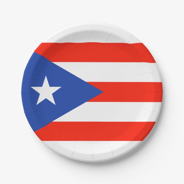 Boricua Fiesta Puerto Rican Bandera 4Teresa Paper Plate (Front)