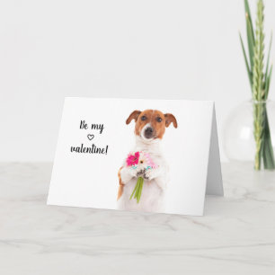 Boris - Jack Russell Terrier - Be my valentine Card