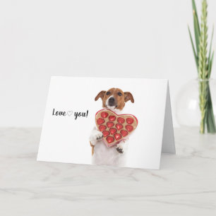 Boris - Jack Russell Terrier - Card