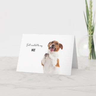 Boris - Jack Russell Terrier - Just saying Hi! Card