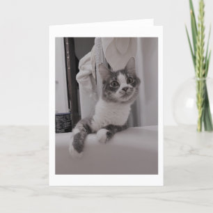 Boris the Cute Nubber Kitty Greeting Card