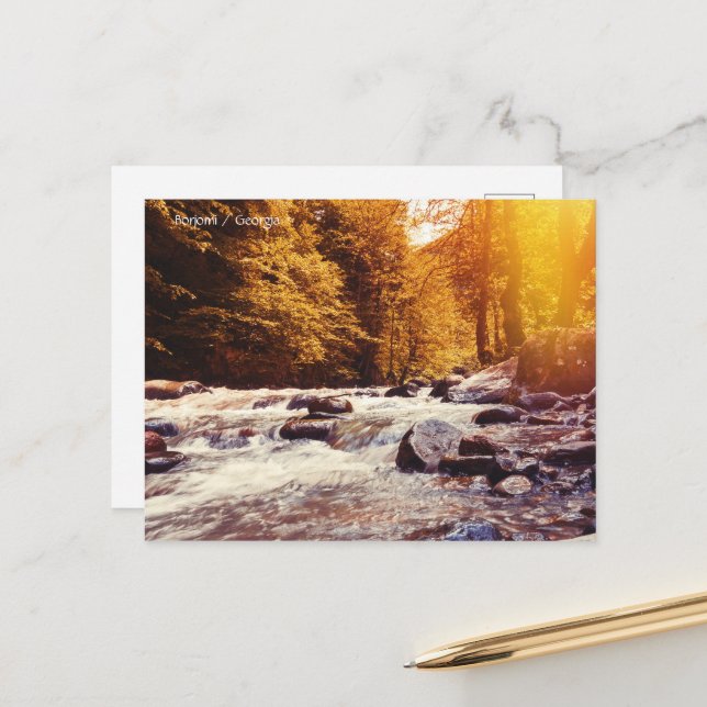 Borjomi, Georgia Postcard (Front/Back In Situ)