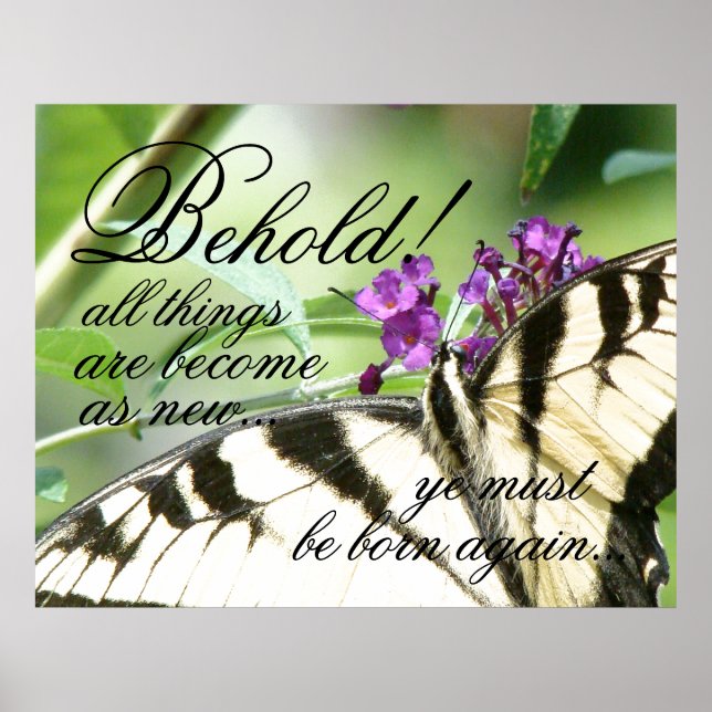 Born Again Butterfly Bible Christian Poster (Front)