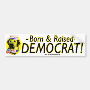 Born And Raised Democrat - Yellow Dog Bumper Stick Sticker
