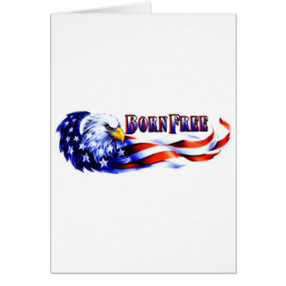 Born Free Bald Eagle And USA Flag