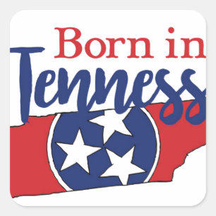 Born in Tennessee State Symbols Volunteer State Square Sticker