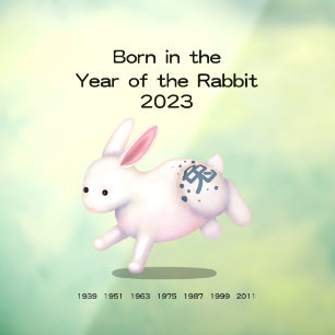 Born in the Year of the Rabbit 2023 Zodiac Sign