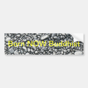 Born NOW Bumper sticker