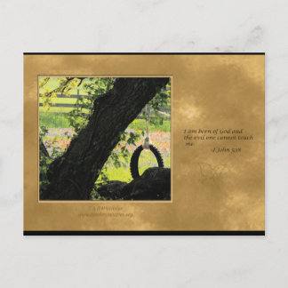 Born of God Postcard