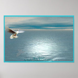 Born of Water and the Spirit Poster